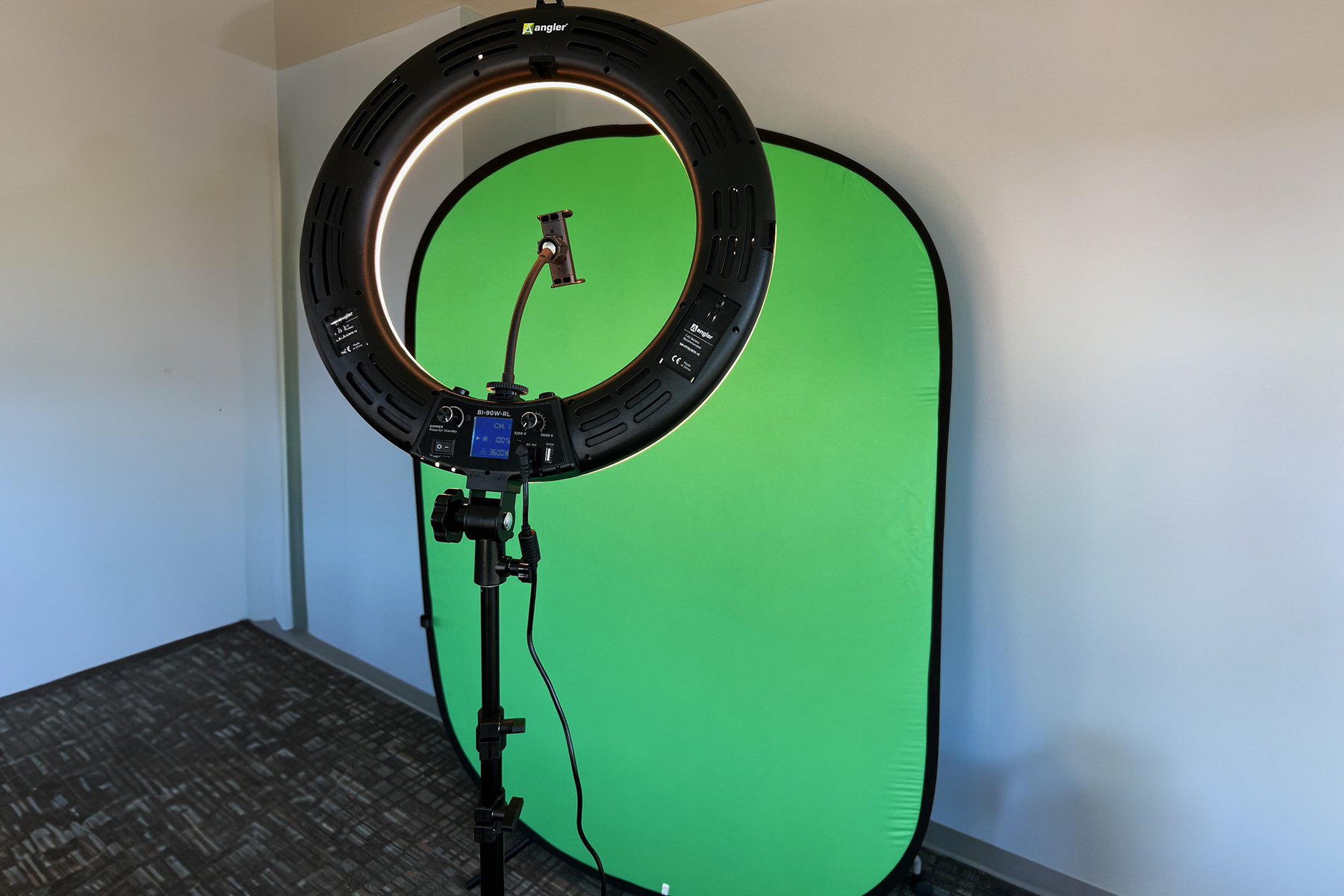 Ring Light and Green Screen Kit