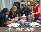 Opportunity Grants