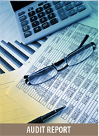 Audit Report