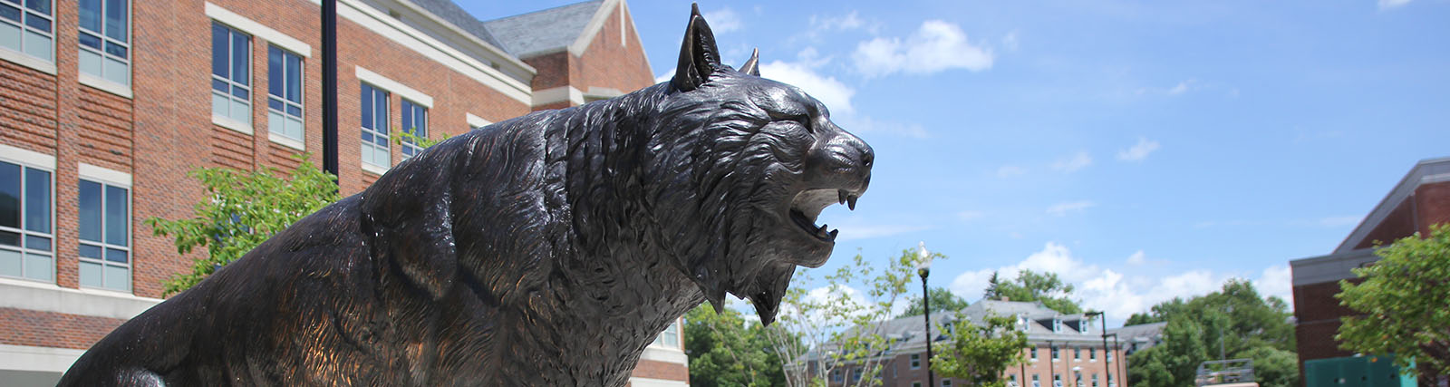 Bobcat statue in front of Compton Science Center with bright blue sky in background