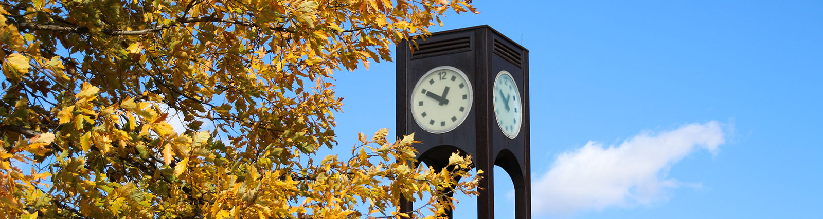 the clock tower as seen through golden fall leaves