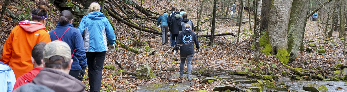 students walk through the forest near creek