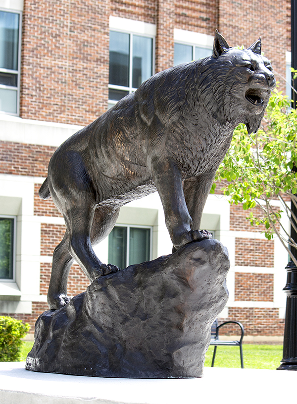 bronze bobcat statue