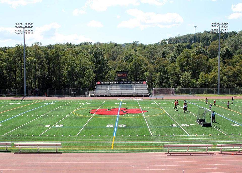 Stadium Turf