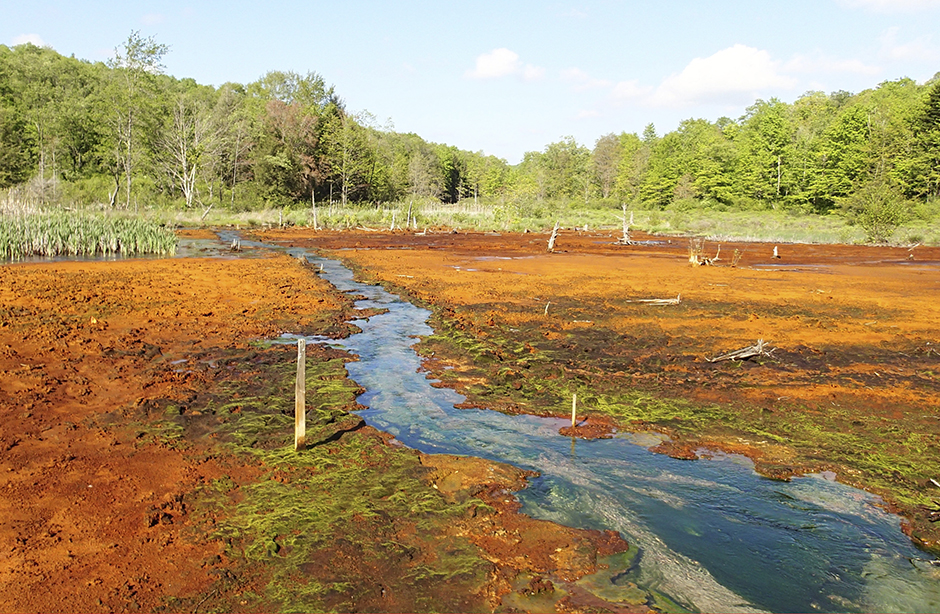 stream surrounded by rust colored sediment on vegitation 