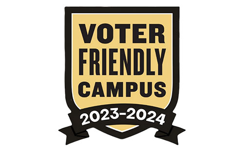 voter friendly icon