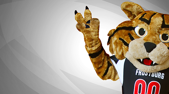 Background BobCat Gray 