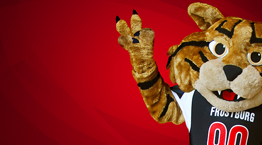 Background BobCat Red 