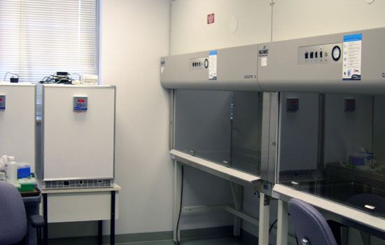 Cell Biology Lab