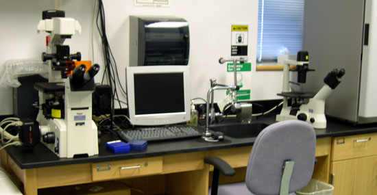 Cell Biology Lab