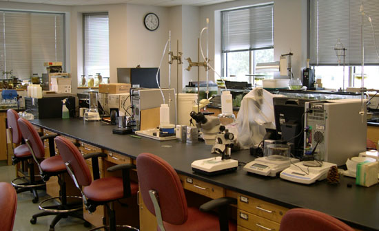 Ecology & Limnology Lab