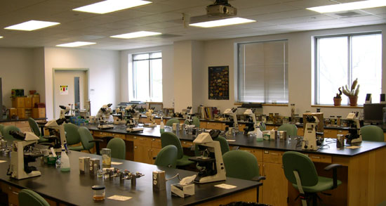General Biology II Lab 