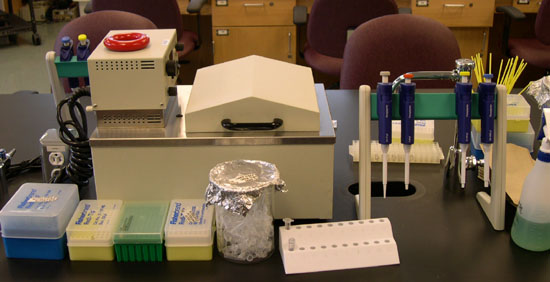 Genetics Lab