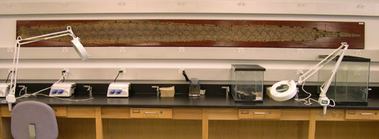 Herpetology, Ichthyology, Fisheries Lab 