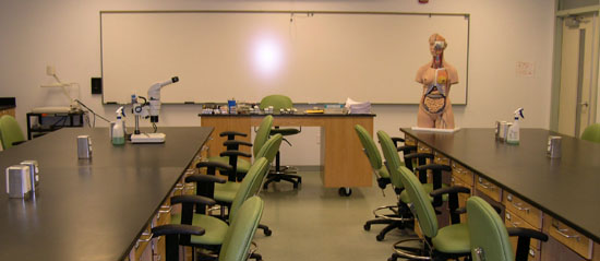 Human Biology Lab 