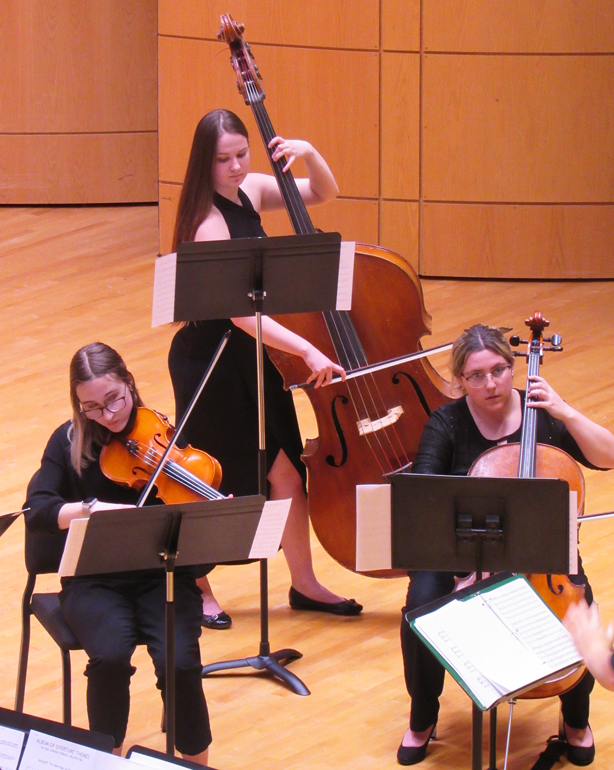 String-Ens-09.jpg
