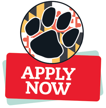 Apply now button