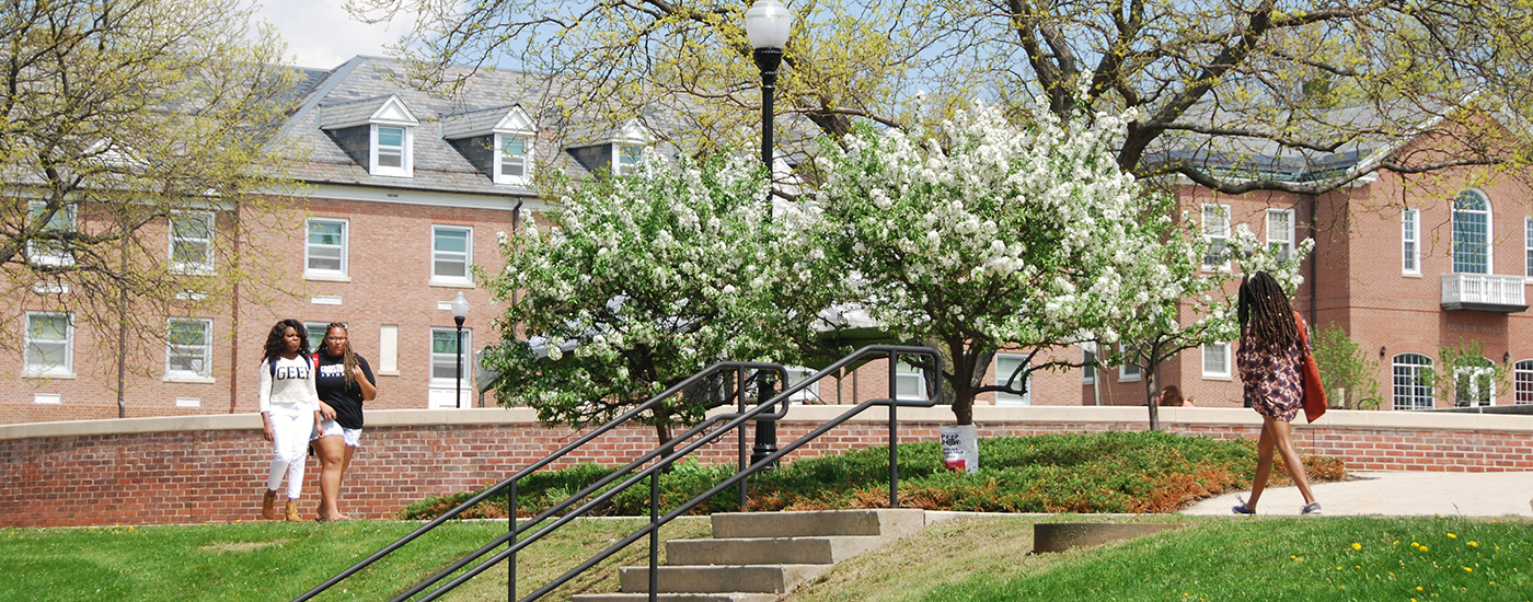 students walking on campus as spring blooms are plenty