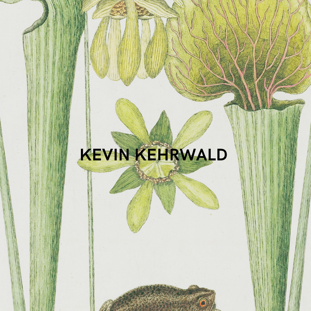 Author Kevin Kehrwald