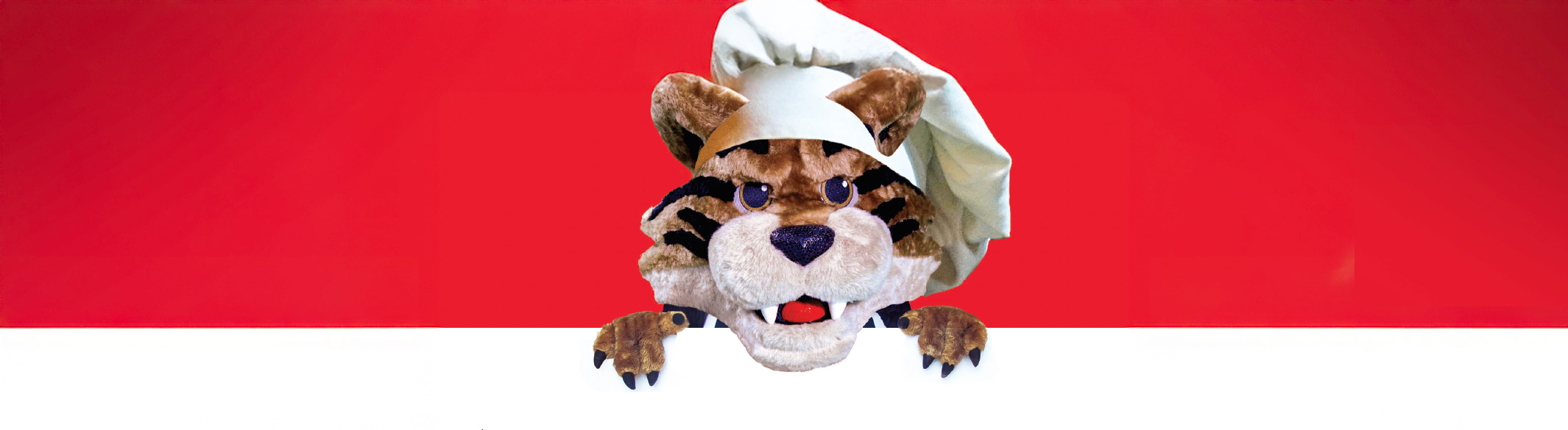 Bob E Cat in chef's hat