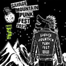 Folk Punk Image
