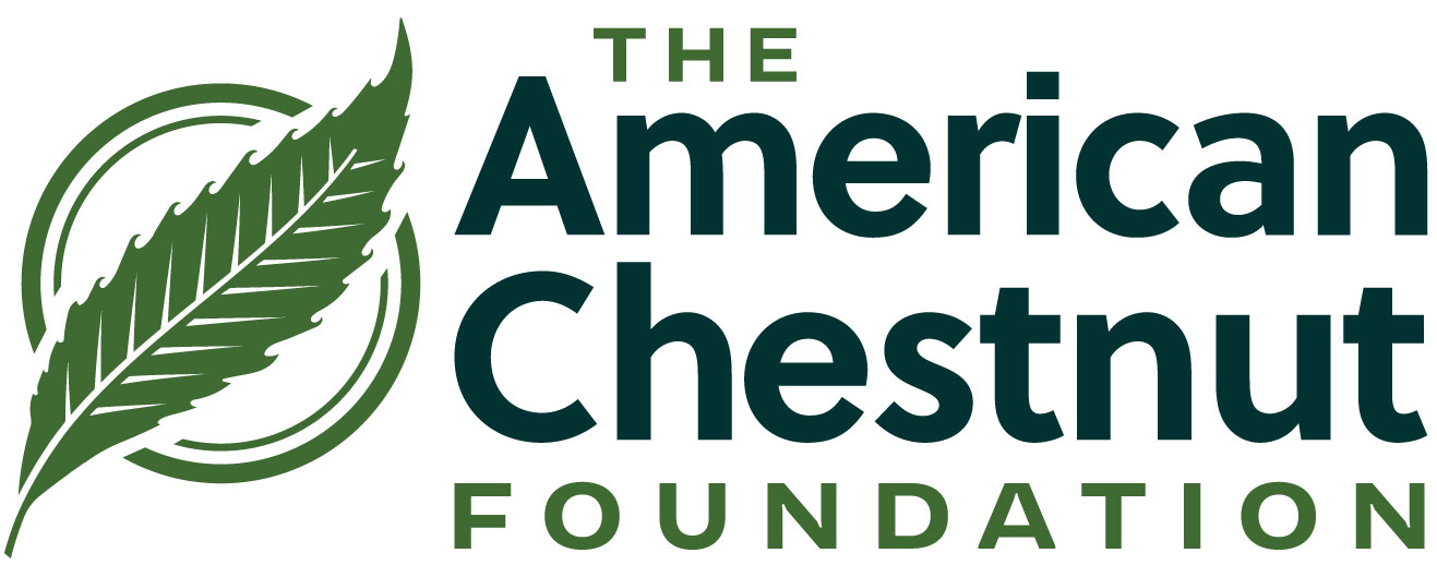 american chestnut foundation