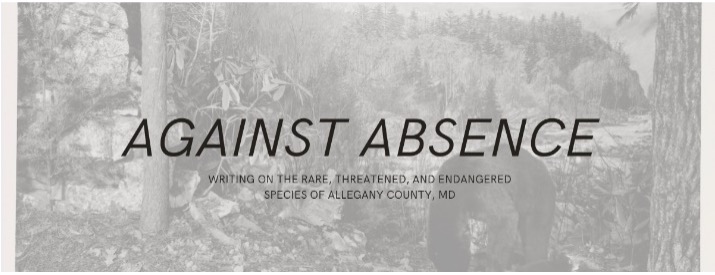 against absence