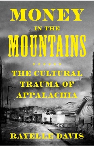 rayelle davis book cover