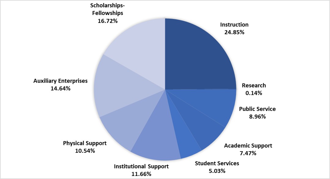 fy2025-program-expense-pie-chart.jpg