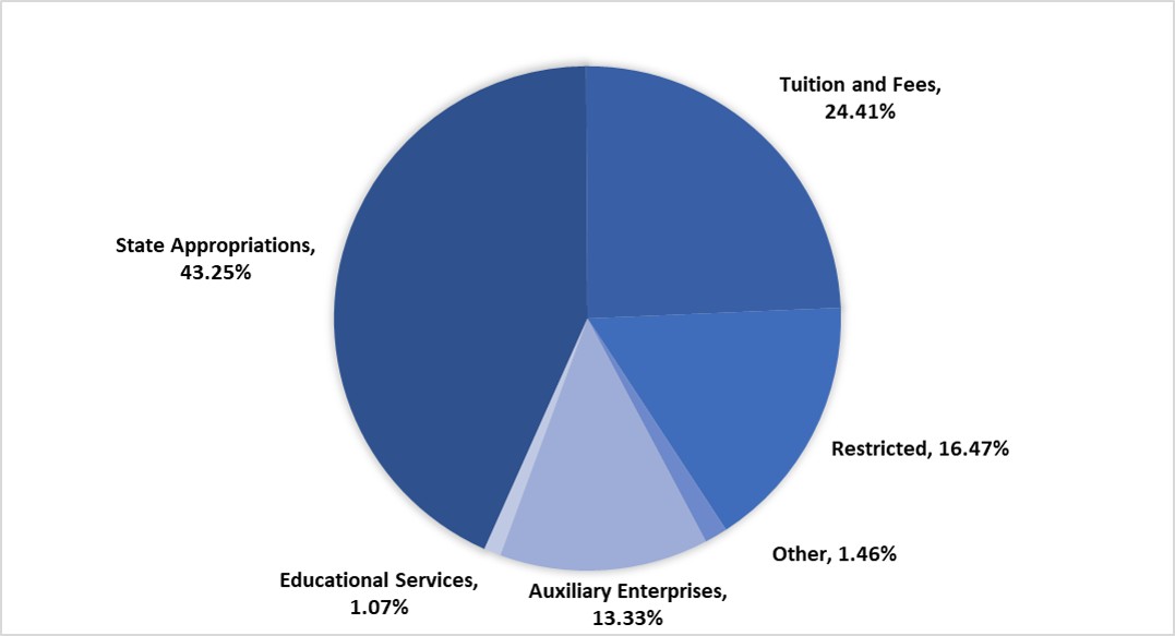 fy2025-revenue-chart.png