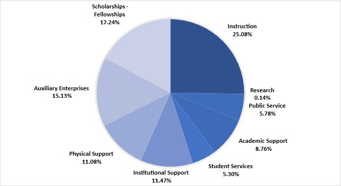 fy2025-program-expense-pie-chart.jpg