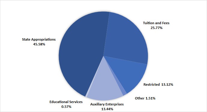 fy2025-revenue-chart.png