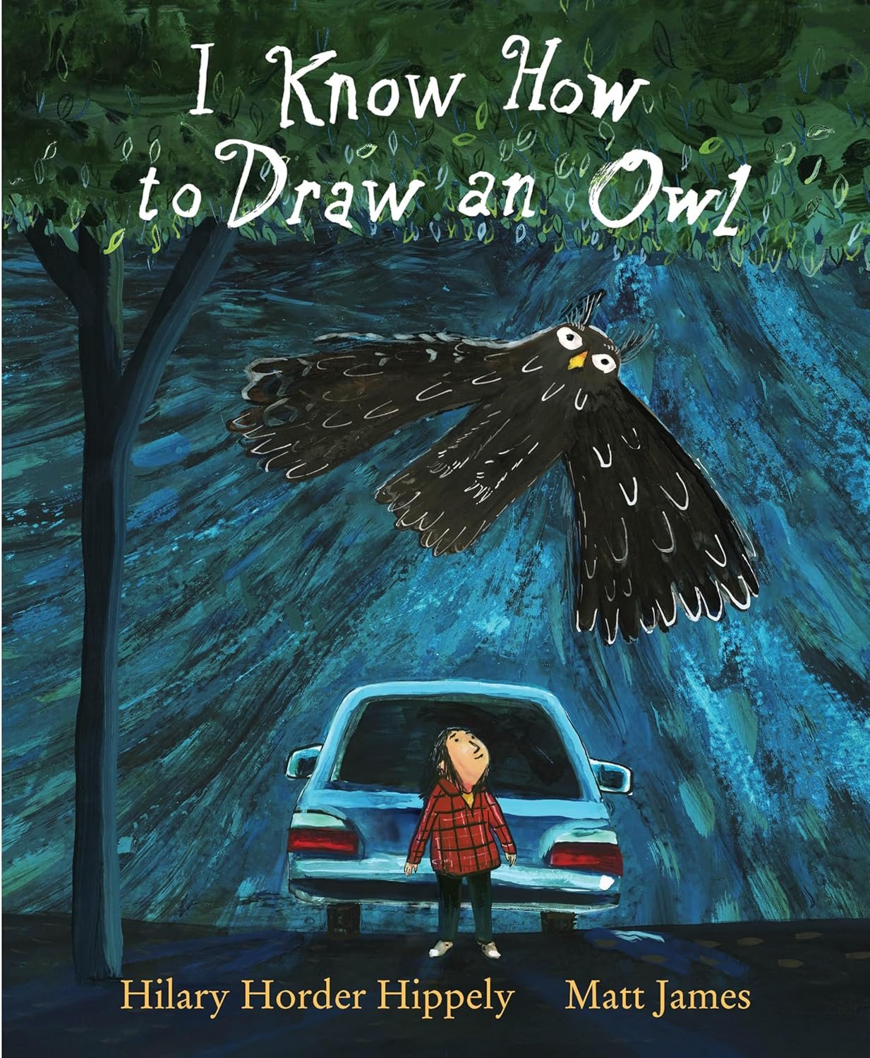 IKnowHowtoDrawanOwl
