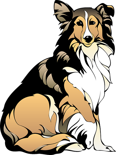 illustrated collie dog