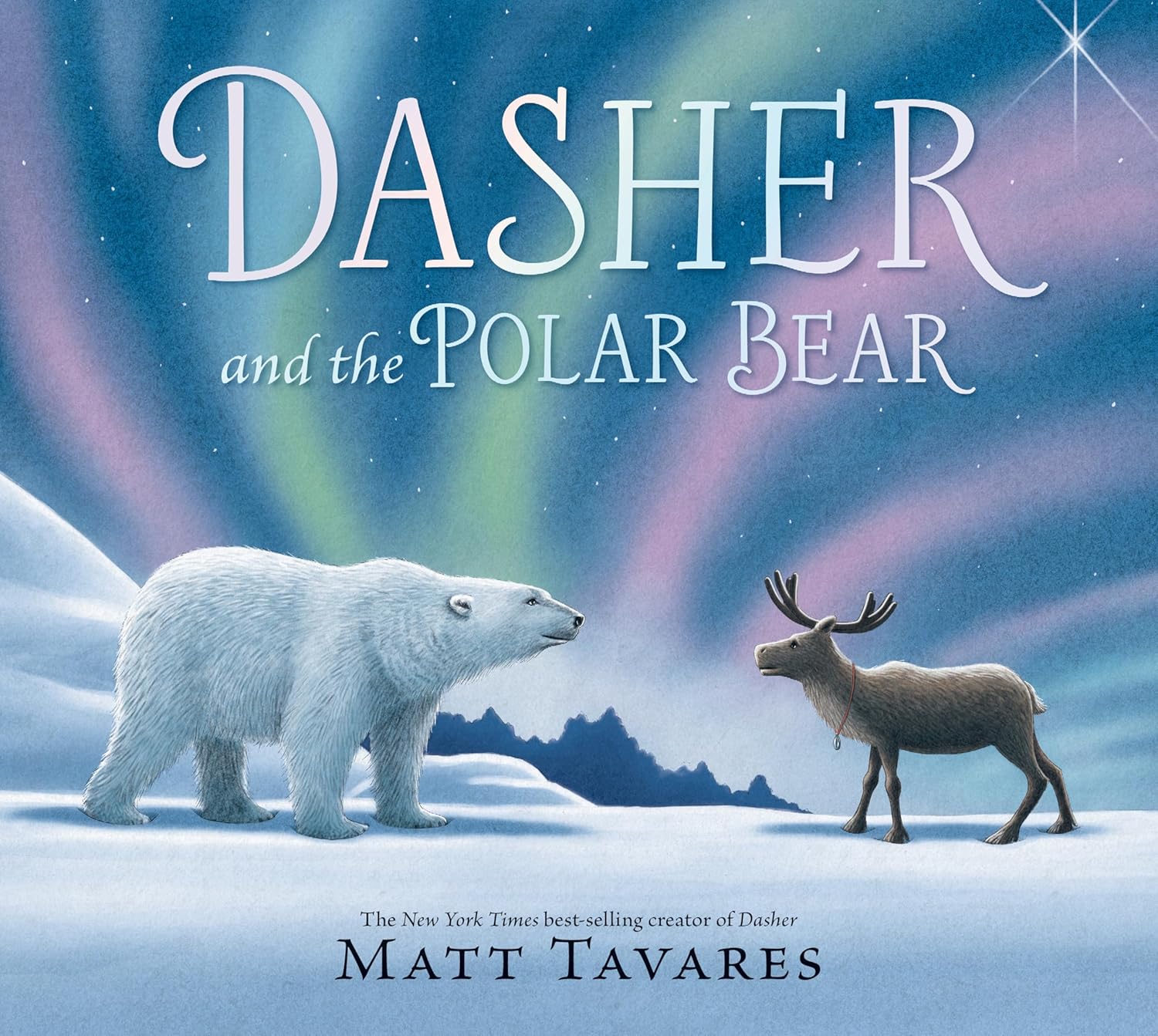 Dasher and the Polar Bear book cover
