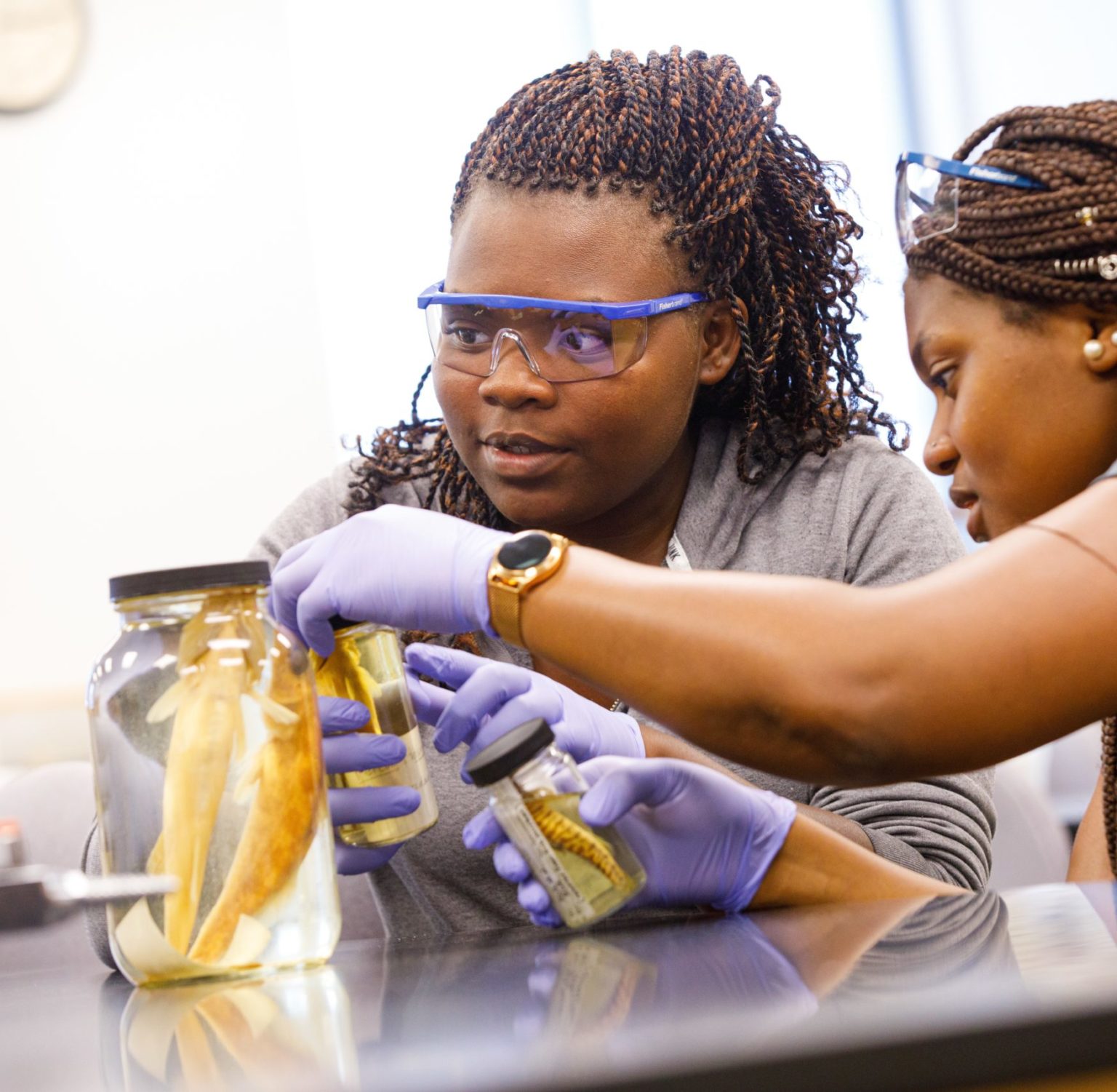 Students looking at specimens