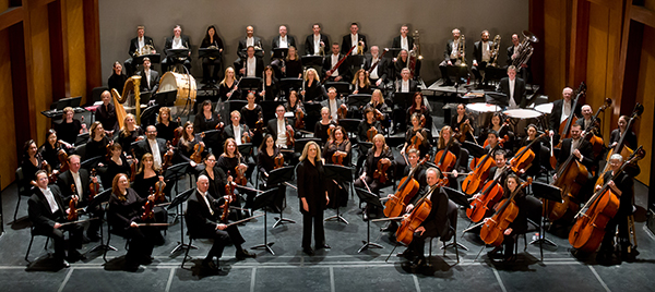 mso600.jpg