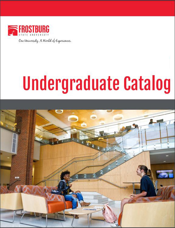 undergraduate catalog