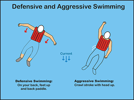 Defensive and Aggressive Swimming