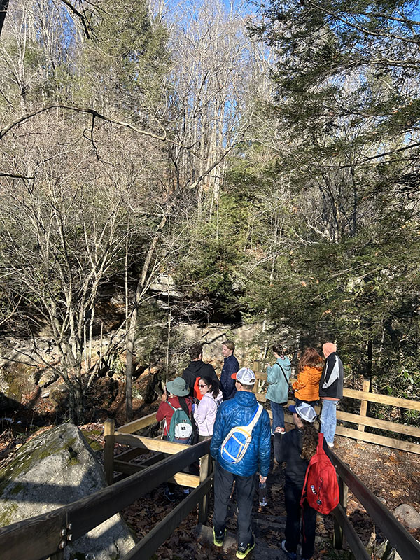 Hiking in woods