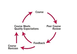 Graphic of Quality Matters peer-review process