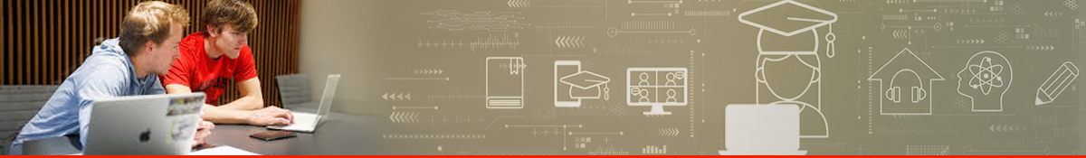 Online Learner Banner