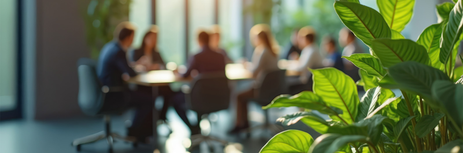 Out of focus photo of a meeting with a plant in the foreground