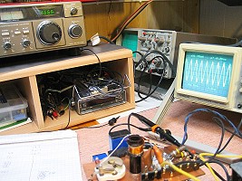 BFO Testing