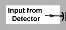 Input From Detector