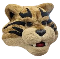 Bob-E-Cat Head