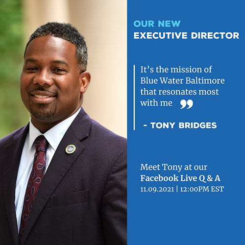 Hon. Tony Bridges
