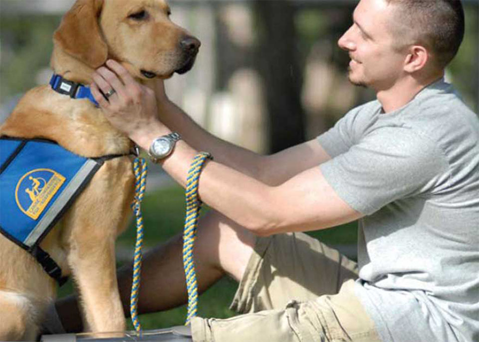 vet with service dog