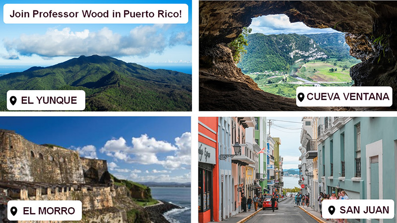 Professor Greg Wood in PR