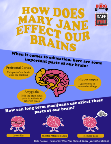 SAFE Marijuana Poster 1